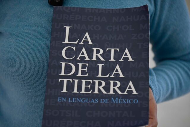 WhatsApp Image 2026-02-02 at 08.06.22 (1)