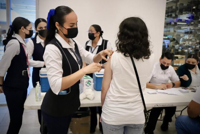 WhatsApp Image 2026-02-14 at 12.56.01 (1)