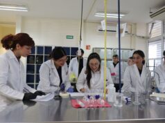 Investigadores de la UAS comprueban eficacia y seguridad de la medicina tradicional; validan propiedades analgésicas de la “hierba del manso”