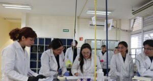 Investigadores de la UAS comprueban eficacia y seguridad de la medicina tradicional; validan propiedades analgésicas de la “hierba del manso”