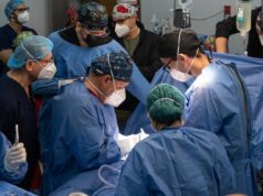 Sinaloa impulsa la vida: suman 954 trasplantes de órganos y tejidos