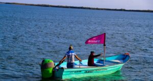 En Altata dan banderazo al Programa de Inspección y Vigilancia 2026 e inicio de la veda del camarón en el Pacífico