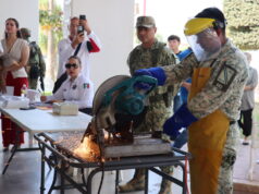 Inicia el Desarme Voluntario Sinaloa 2026; recibe hasta $15 mil pesos y paz para tu hogar