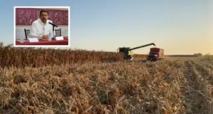 SADER abrirá ventanilla hoy jueves para pagos pendientes a productores de maíz del ciclo 2023-2024