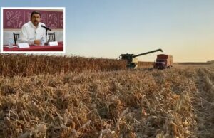 SADER abrirá ventanilla hoy jueves para pagos pendientes a productores de maíz del ciclo 2023-2024