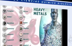 Metalofármacos, la nueva frontera en el diseño de terapias selectivas y precisas contra el cáncer