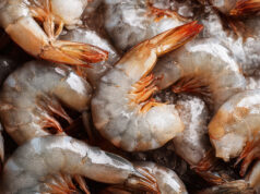 Respalda CORE33 demandas del sector acuícola para mejorar su competitividad