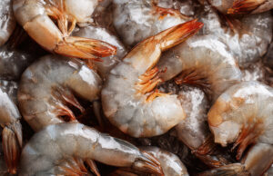 Respalda CORE33 demandas del sector acuícola para mejorar su competitividad