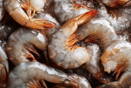 Respalda CORE33 demandas del sector acuícola para mejorar su competitividad