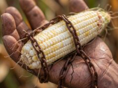 Las tripas del problema