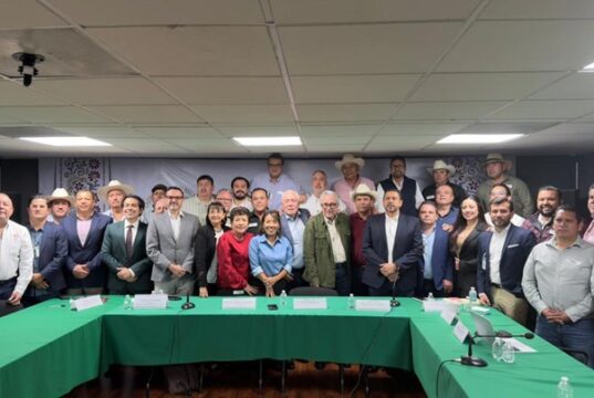 Finalmente… Acuerdan precio de 6,000 pesos para la tonelada de maíz blanco sinaloense