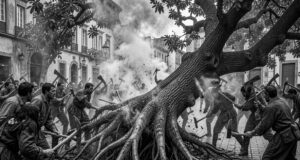 Hacer leña del árbol caído