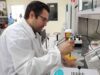 La UAS se consolida como referente científico en Sinaloa, con crecimiento del 24% en el Sistema Nacional de Investigadoras e Investigadores (SNII)