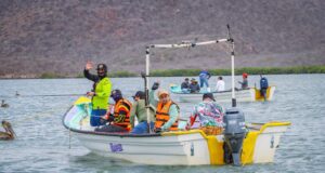Superan mil participantes los torneos de pesca deportiva en Sinaloa; anuncian agenda de junio