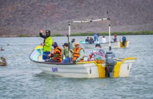 Superan mil participantes los torneos de pesca deportiva en Sinaloa; anuncian agenda de junio