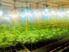 Representará académico de la UAS a México en la Cumbre Mundial Climática “Climate Fest 2026” en Perú, con investigaciones sobre agricultura sostenible