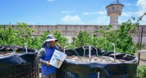 Autoridades de los tres órdenes de gobierno implementan Plan Operativo por las festividades del Día del Padre 2026 en Sinaloa