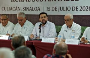 Productores aprueban propuesta de siembra de más de 813 mil hectáreas para el ciclo agrícola Otoño-Invierno 2026-2027