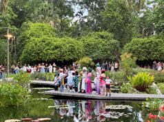 Festival Kawaii llena de color, creatividad cultura japonesa al Jardín Botánico Culiacán