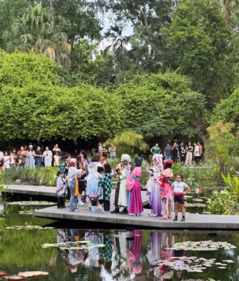 Festival Kawaii llena de color, creatividad cultura japonesa al Jardín Botánico Culiacán