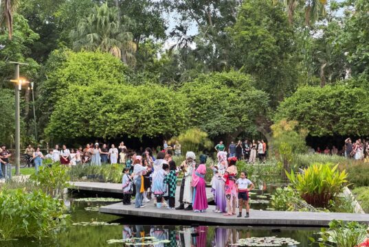 Festival Kawaii llena de color, creatividad cultura japonesa al Jardín Botánico Culiacán