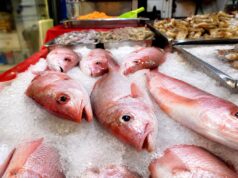 Salud exhorta a prevenir enfermedades transmitidas por alimentos durante la temporada de calor
