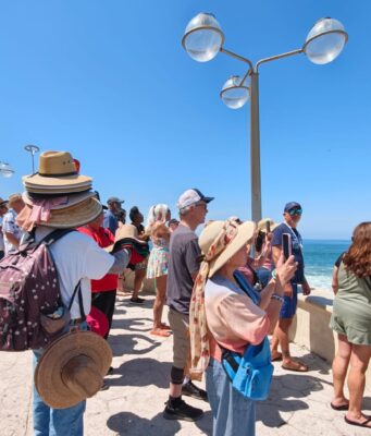 Recibe Mazatlán más de 300 mil cruceristas en los primeros siete meses de 2026