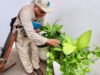 La prevención del dengue empieza en casa: Secretaría de Salud
