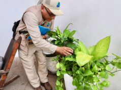 La prevención del dengue empieza en casa: Secretaría de Salud