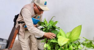 La prevención del dengue empieza en casa: Secretaría de Salud