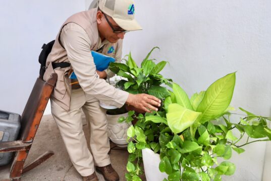La prevención del dengue empieza en casa: Secretaría de Salud