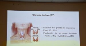 ¡Descifrando los secretos del ARN! Estudiante de Ciencias Biomédicas de la UAS investiga las alteraciones genéticas del cáncer de tiroides en México