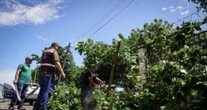 Ayuntamiento atiende a familias de Bachigualato, Barrancos y Rincón del Parque afectadas por las lluvias