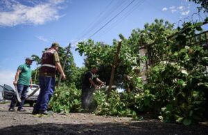 Ayuntamiento atiende a familias de Bachigualato, Barrancos y Rincón del Parque afectadas por las lluvias