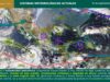 “El niño” provoca temperaturas de hasta 42 grados y lluvias atípicas