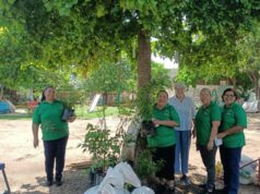 Más de 3 mil árboles llegan a 250 parques para combatir el calor y recuperar espacios para la comunidad