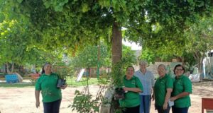 Más de 3 mil árboles llegan a 250 parques para combatir el calor y recuperar espacios para la comunidad