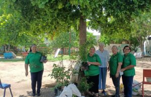 Más de 3 mil árboles llegan a 250 parques para combatir el calor y recuperar espacios para la comunidad