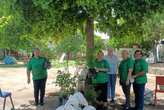 Más de 3 mil árboles llegan a 250 parques para combatir el calor y recuperar espacios para la comunidad