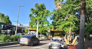 La SSPyTM mantiene rutas alternas ante cierre total de carriles hacia el poniente en el Malecón Viejo