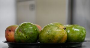 Científicos de la UAS desarrollan biopelículas comestibles a base de plantas regionales para prolongar la vida de las cosechas y reducir pérdidas agrícolas