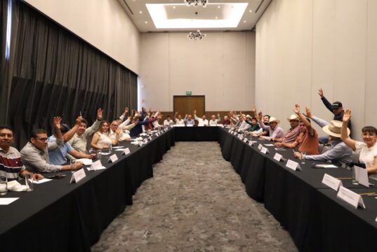 Sheinbaum anuncia que esta semana estará en Sinaloa la secretaria de Agricultura para dar continuidad a los temas del campo