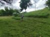 Trabajos de limpieza y acondicionamiento registran un 65 por ciento de avance en el Parque Las Riberas