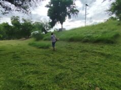 Trabajos de limpieza y acondicionamiento registran un 65 por ciento de avance en el Parque Las Riberas