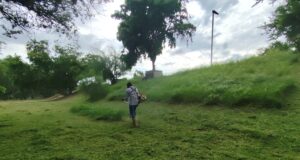 Trabajos de limpieza y acondicionamiento registran un 65 por ciento de avance en el Parque Las Riberas