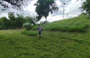 Trabajos de limpieza y acondicionamiento registran un 65 por ciento de avance en el Parque Las Riberas