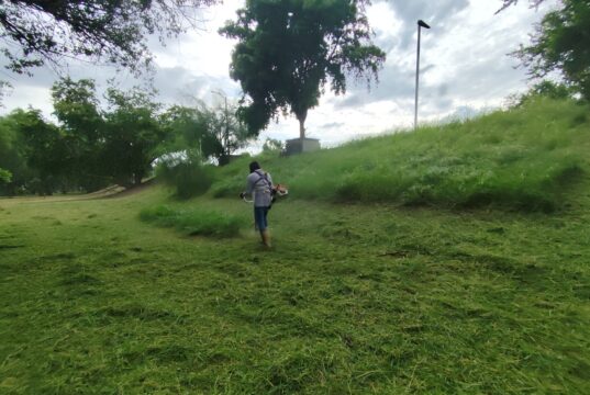 Trabajos de limpieza y acondicionamiento registran un 65 por ciento de avance en el Parque Las Riberas